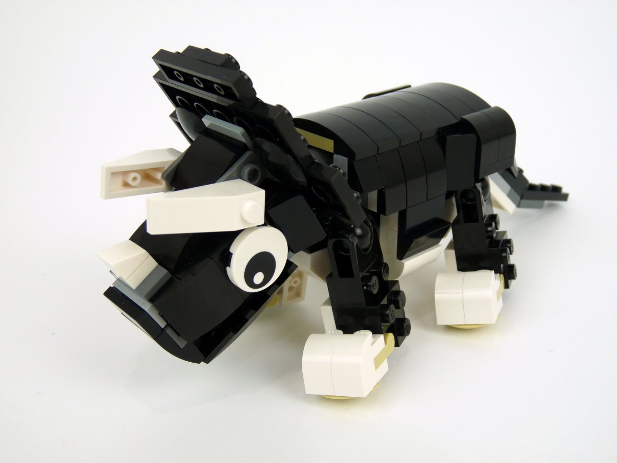 trcieratops007.jpg