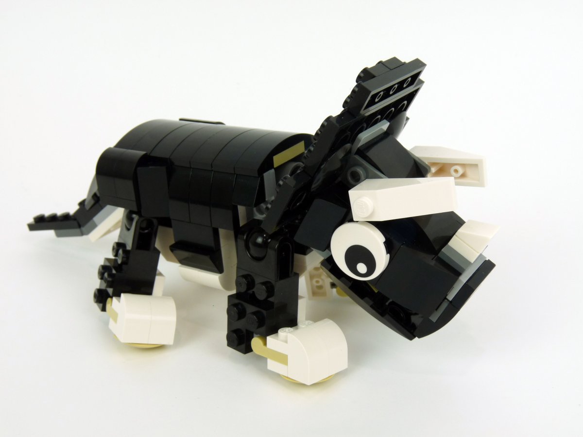 trcieratops008.jpg