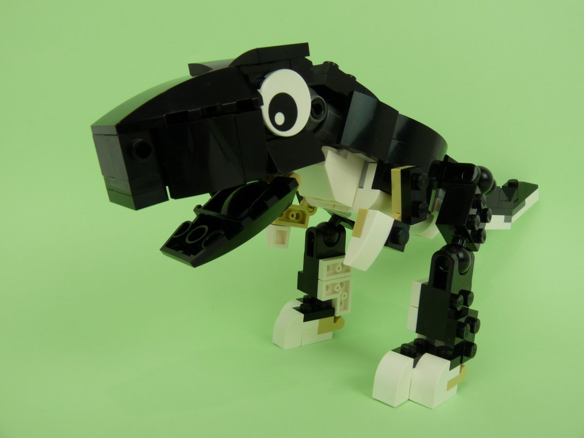 trex002.jpg