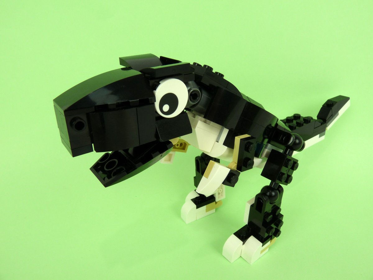 trex004.jpg