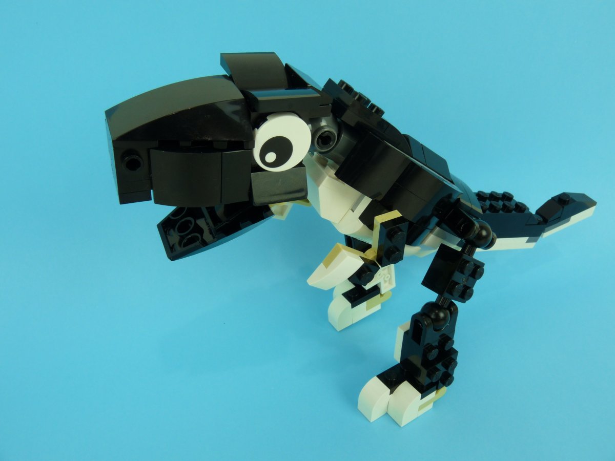 trex009.jpg