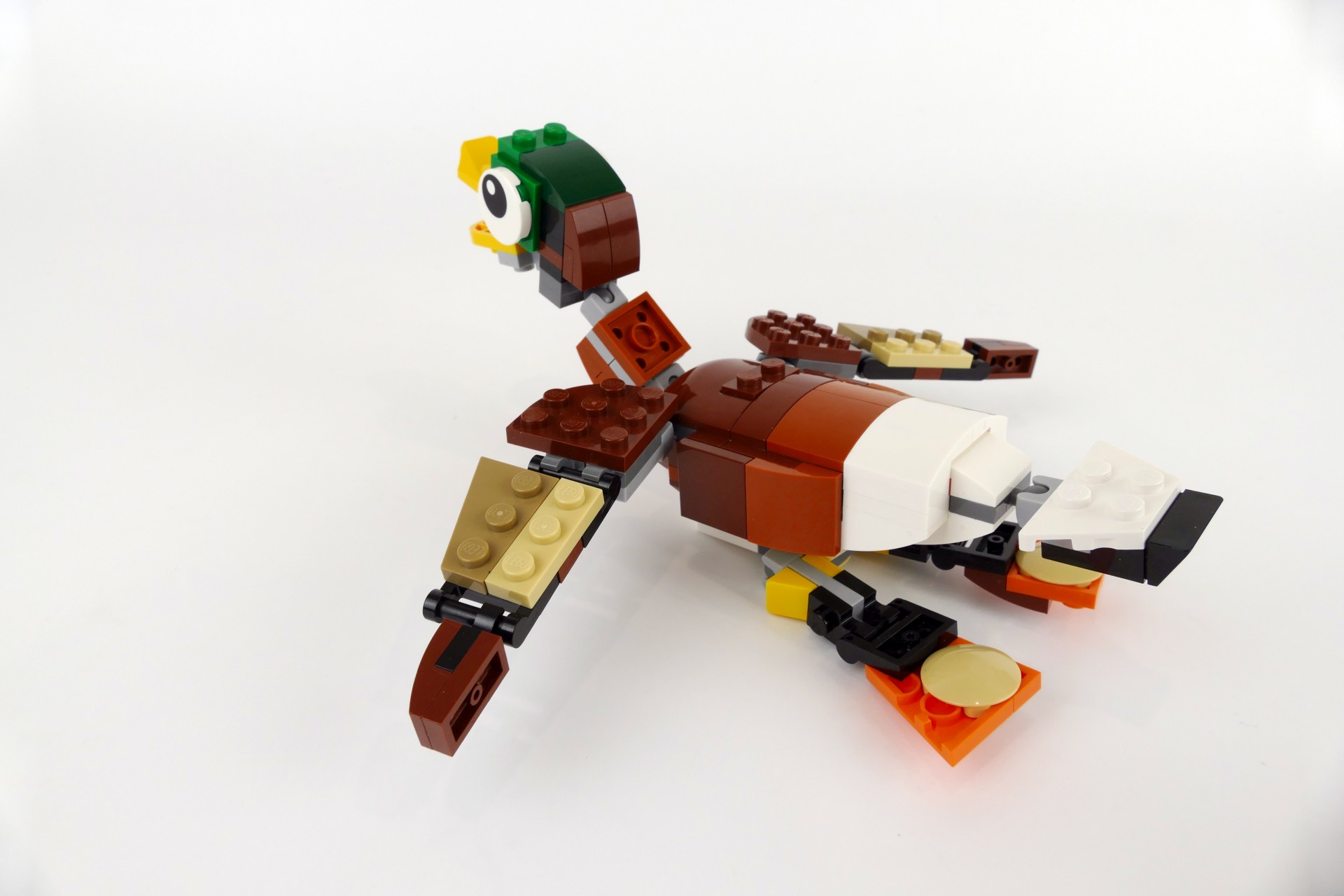 mduck001.jpg