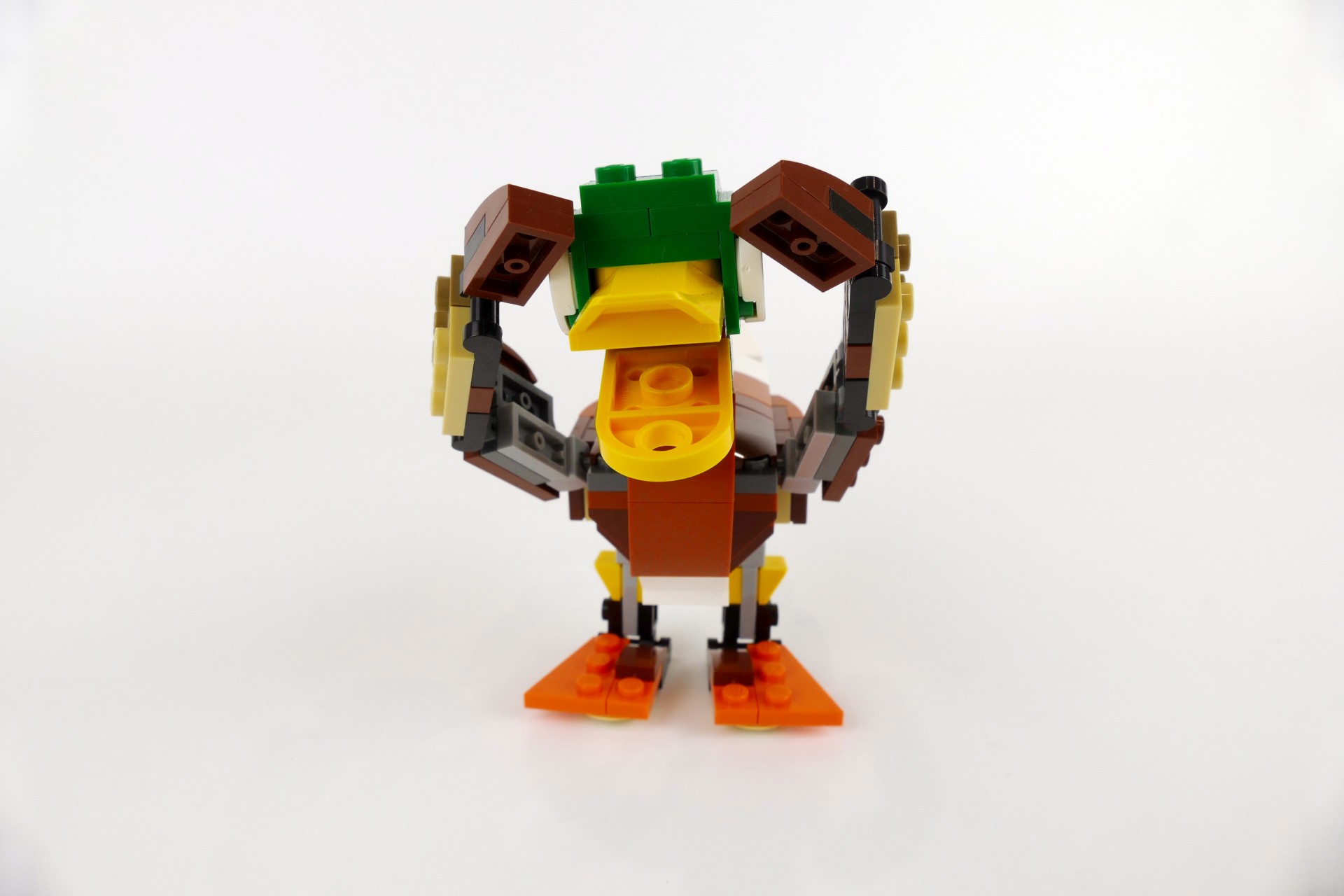 mduck002.jpg