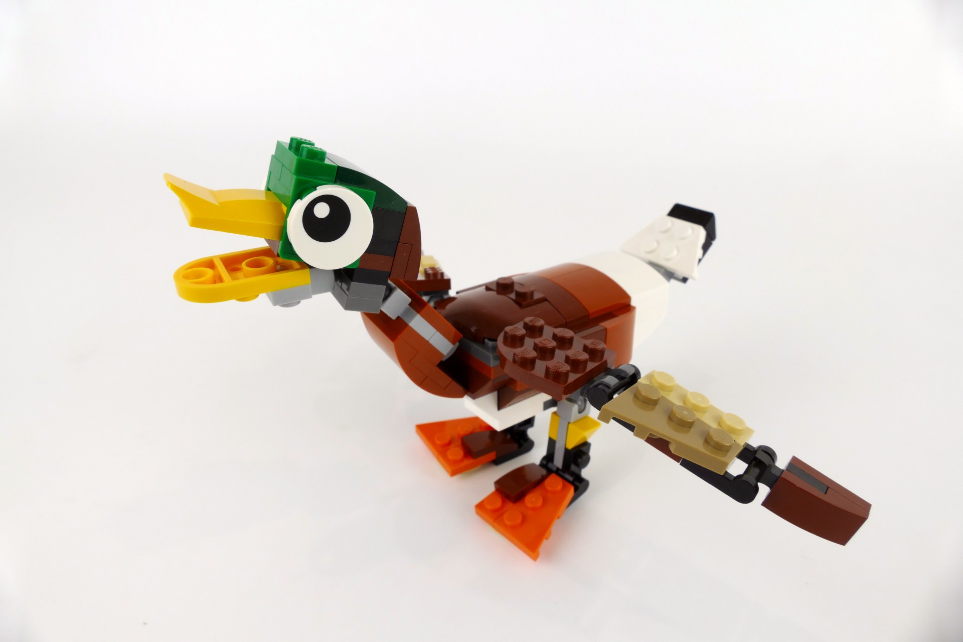 mduck003.jpg