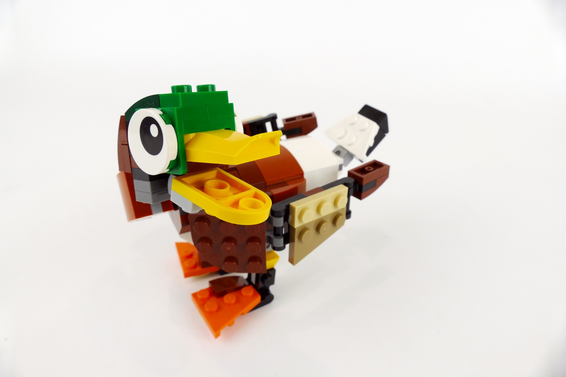 mduck004.jpg