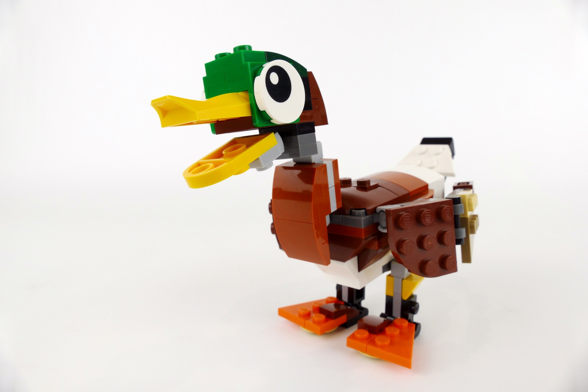 mduck005.jpg