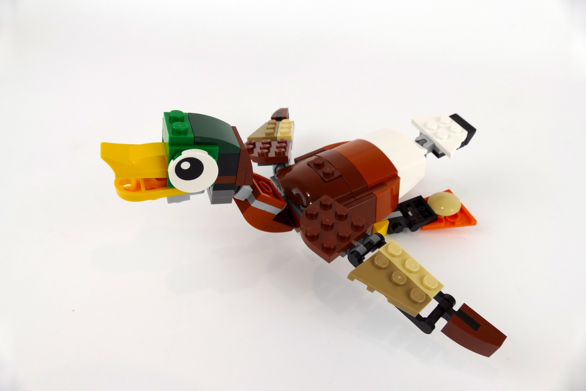 mduck007.jpg