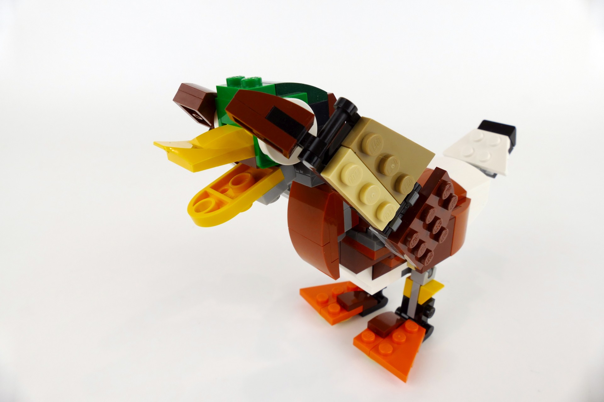 mduck008.jpg