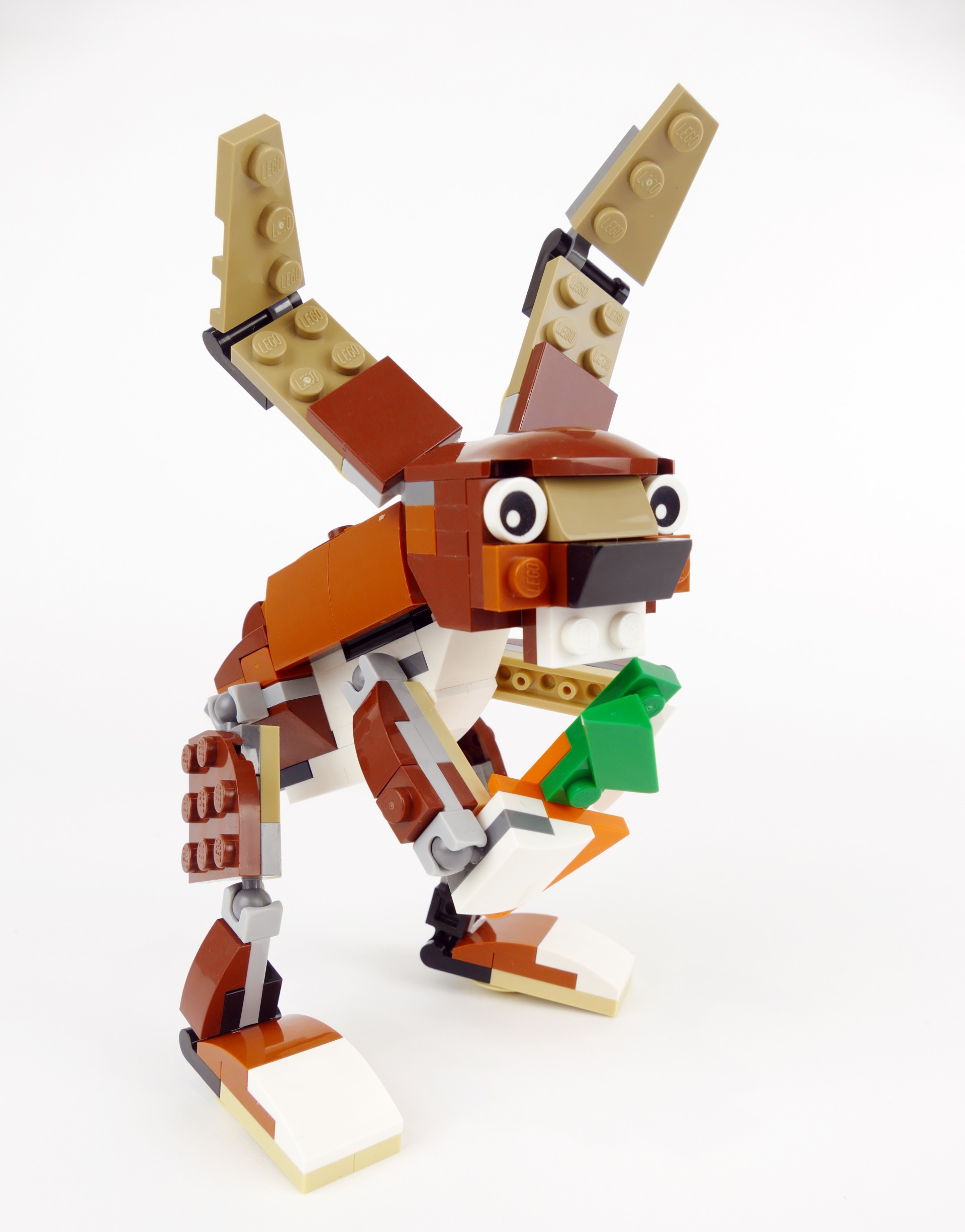 rabbit002.jpg