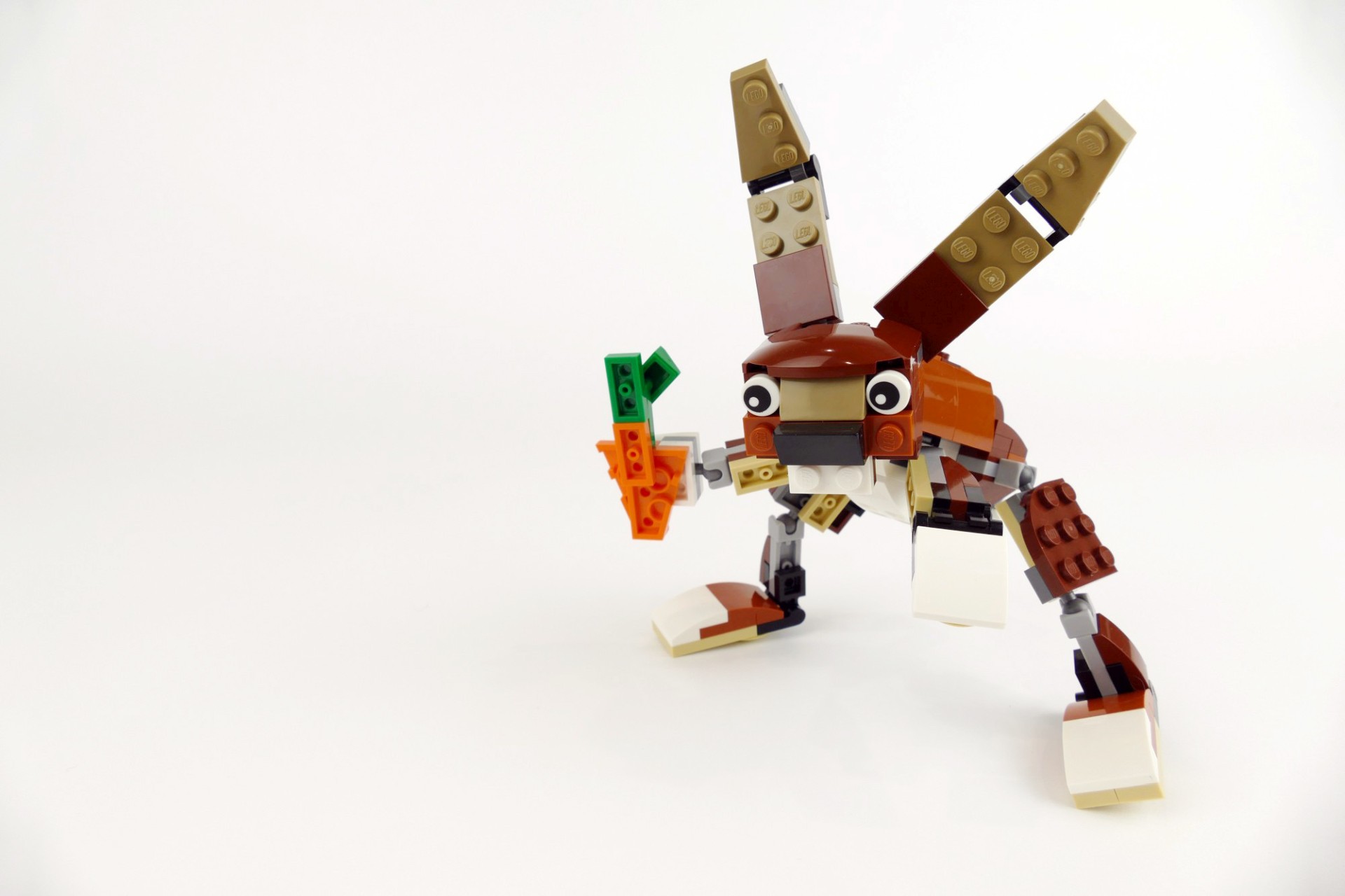 rabbit003.jpg