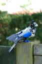 bird002.jpg