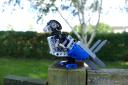 bird004.jpg