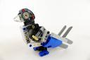 bird009.jpg