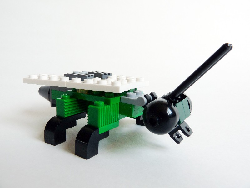 bug04.jpg