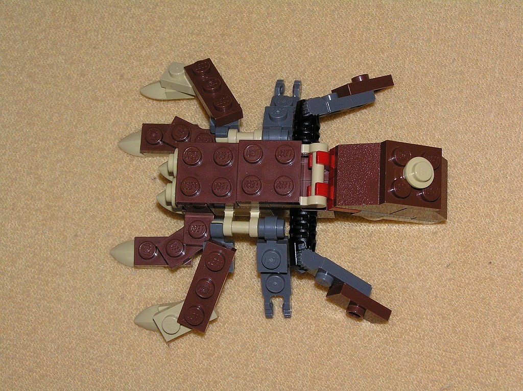 spider3.jpg