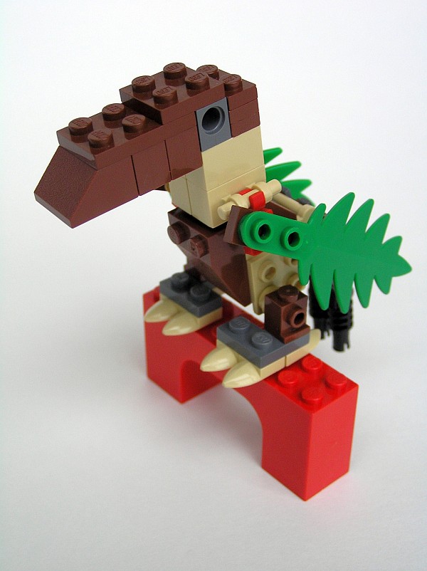 tookan03.jpg