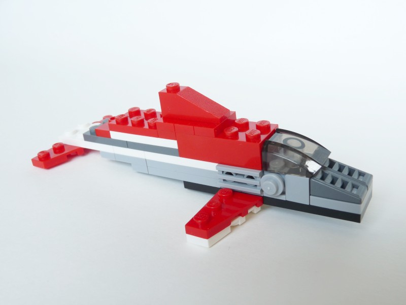 dolphin02.jpg