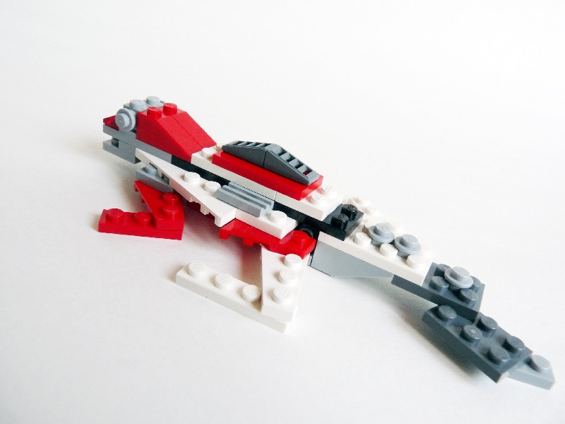 lizard010.jpg