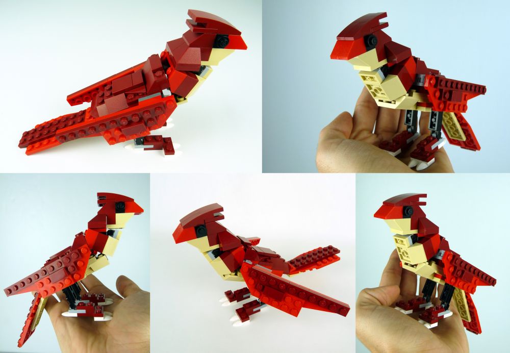 bird0.jpg