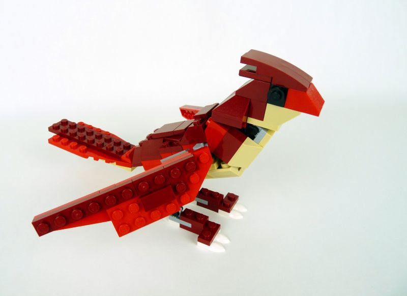 bird1.jpg