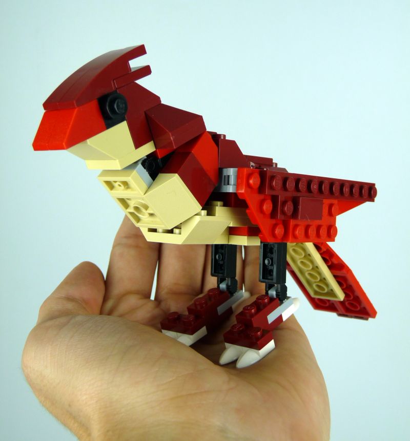 bird2.jpg