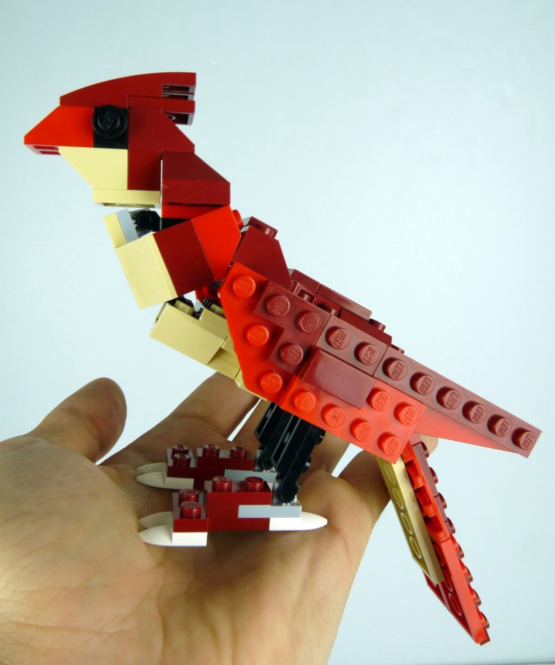 bird3.jpg