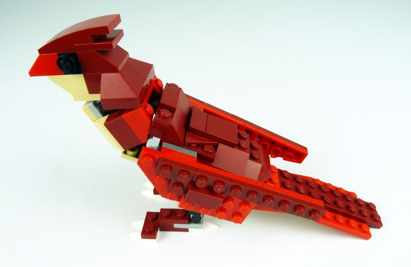 brid4.jpg