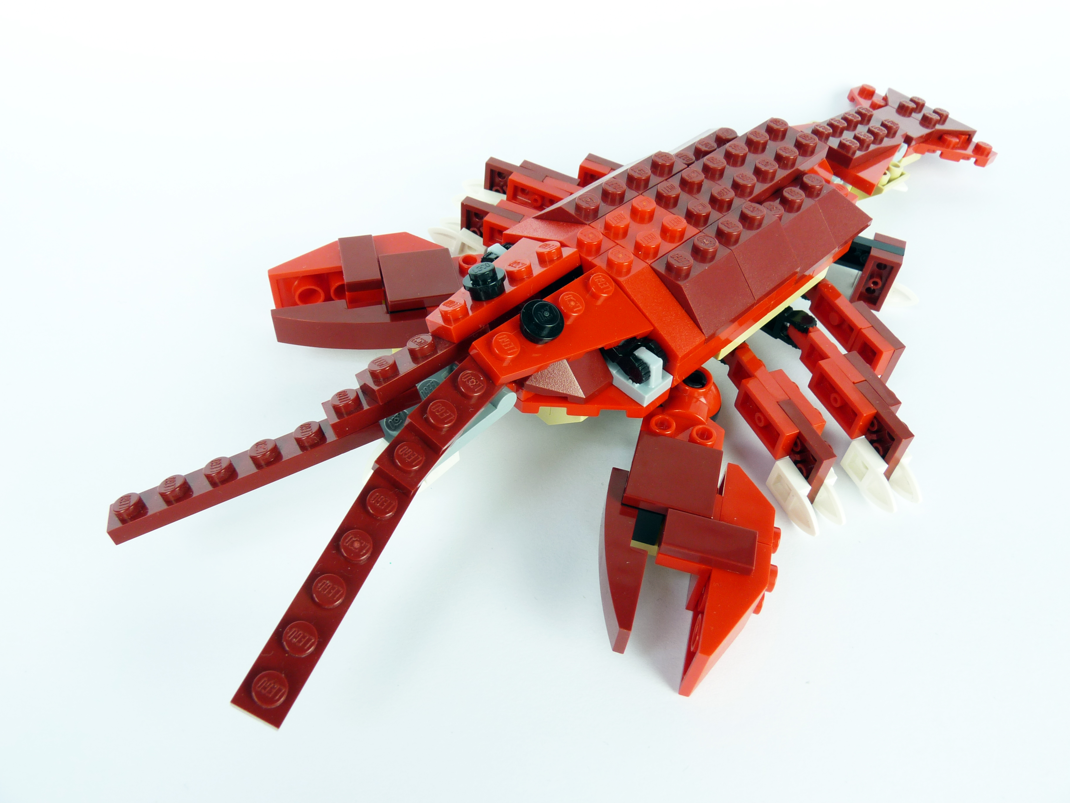 crayfish.jpg