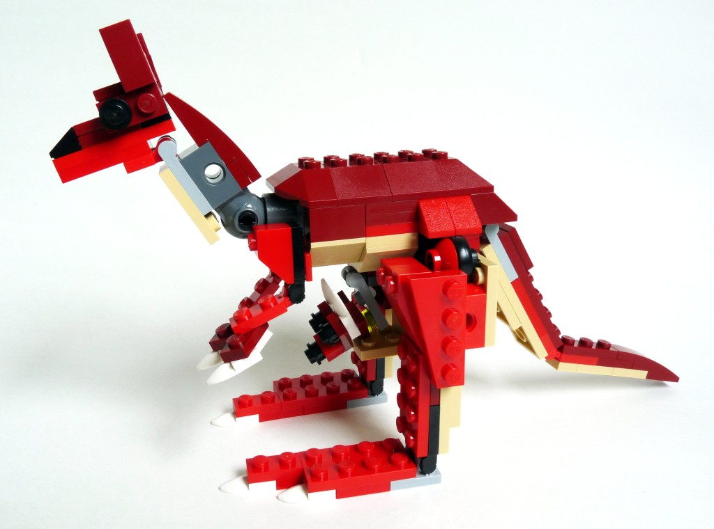 kangaroo001.jpg