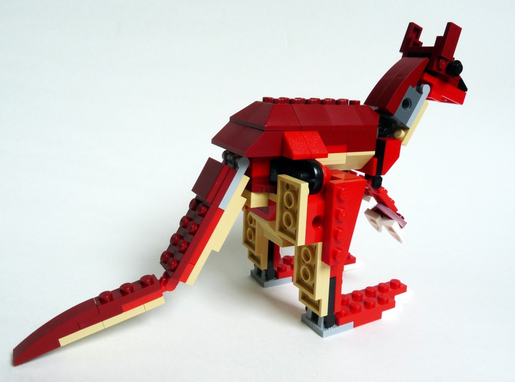 kangaroo002.jpg