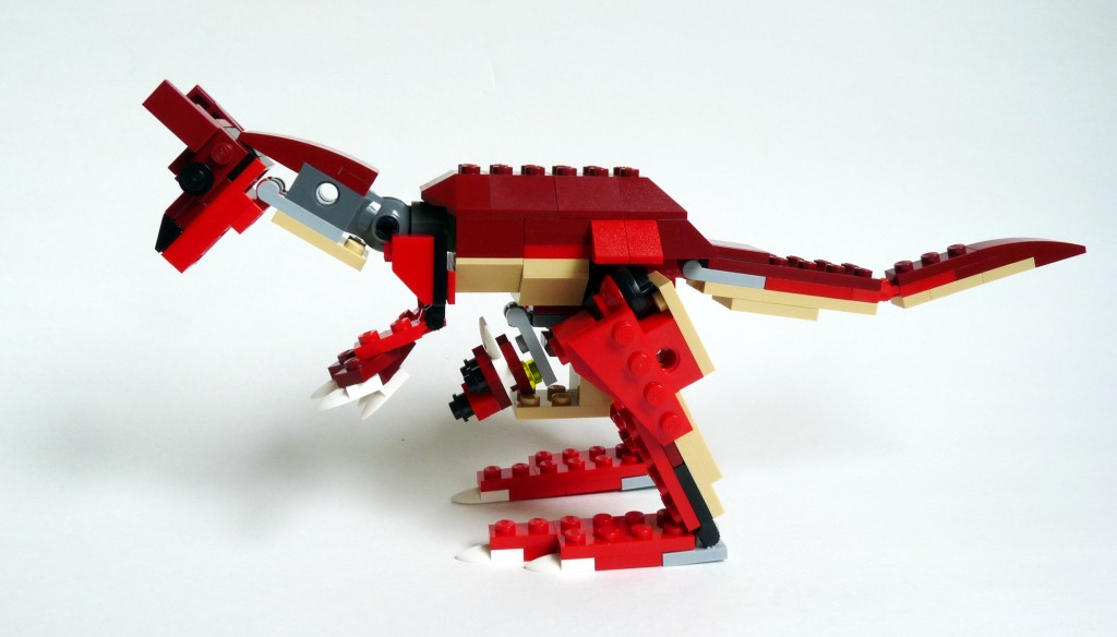 kangaroo004.jpg