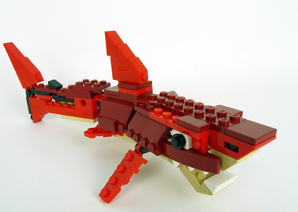 shark003.jpg