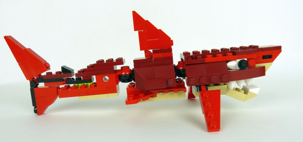 shark004.jpg