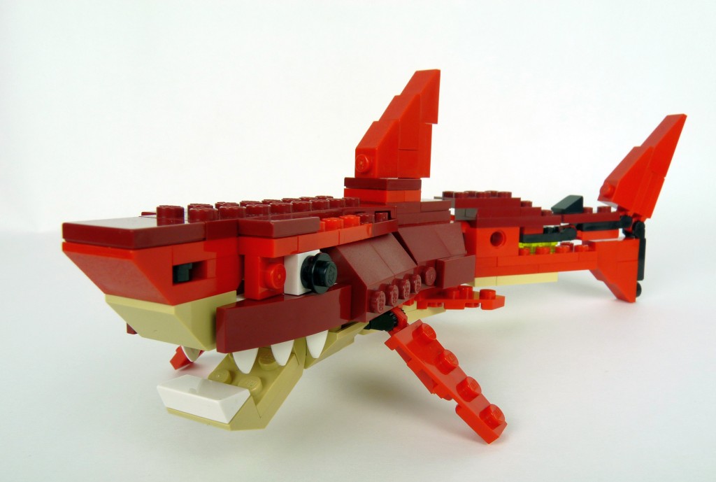 shark007.jpg