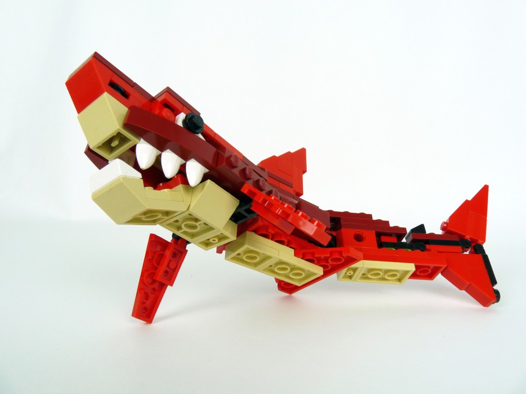 shark010.jpg