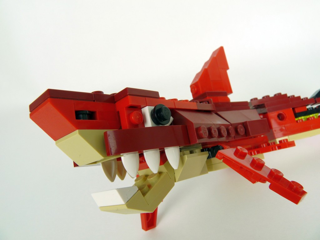 shark011.jpg