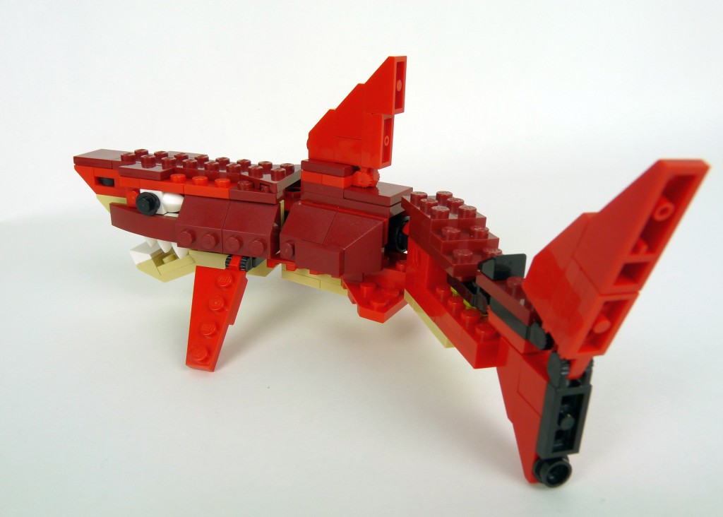 shark012.jpg