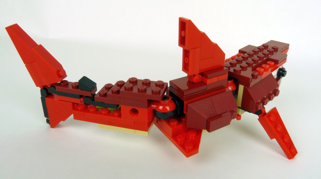 shark014.jpg