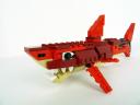 shark006.jpg