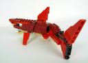shark012.jpg