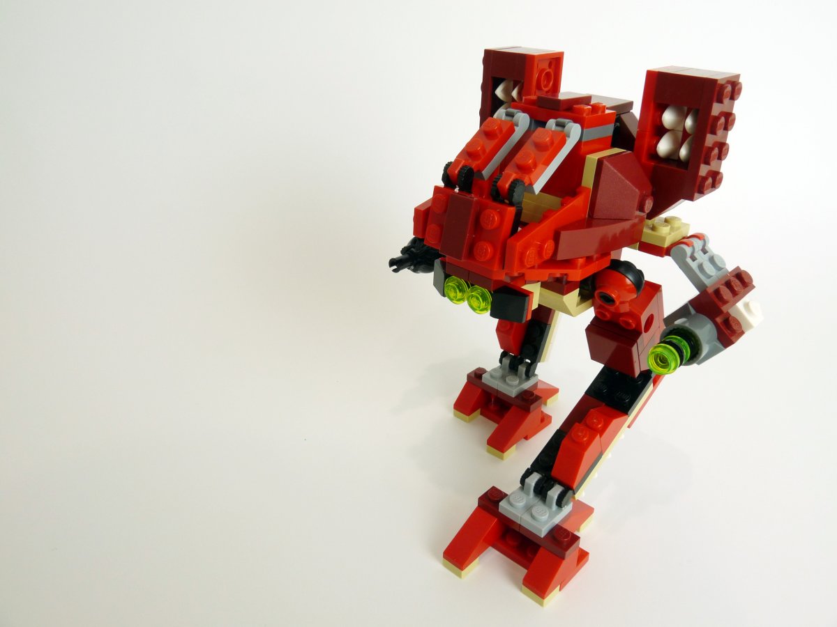 wildcat001.jpg