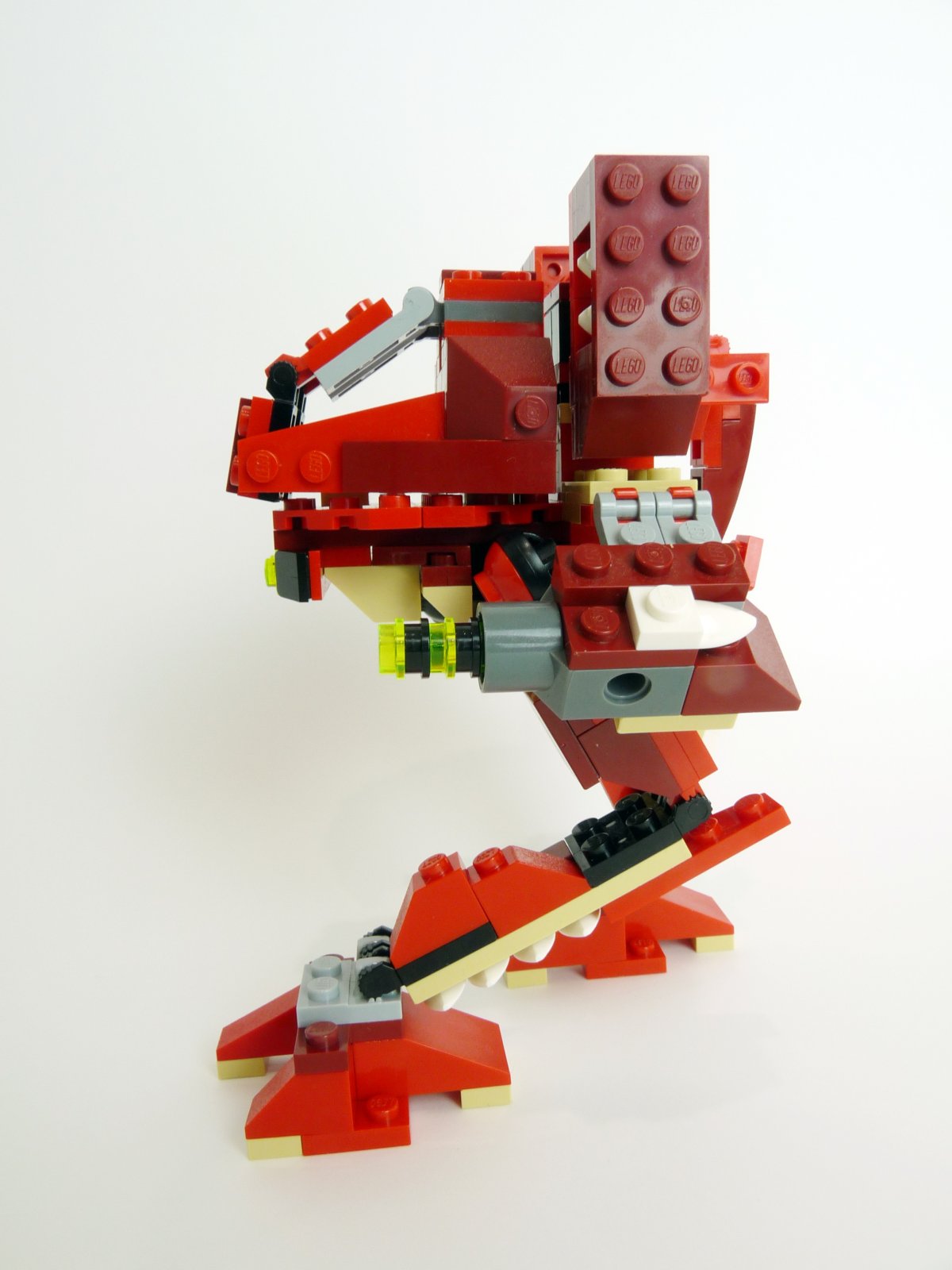 wildcat004.jpg