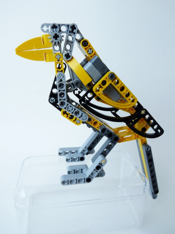 magpie01.jpg