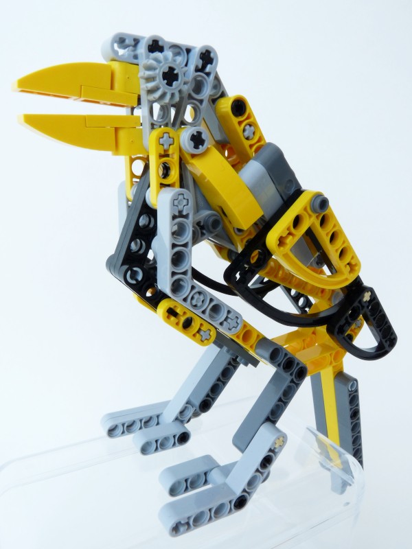 magpie02.jpg