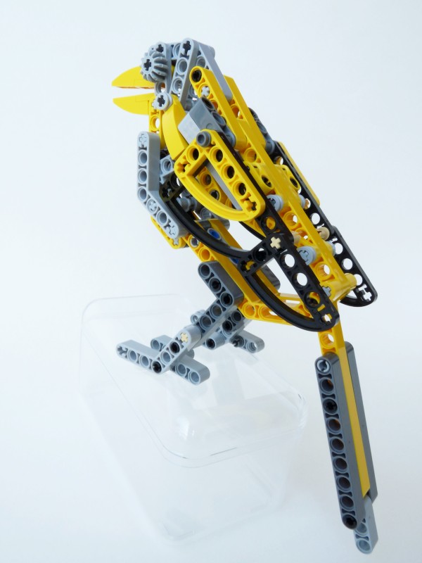 magpie04.jpg