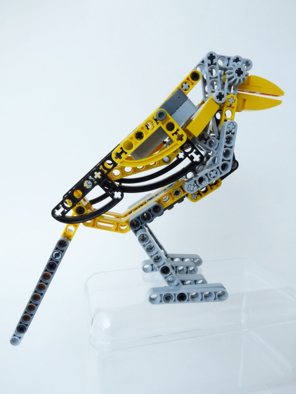 magpie05.jpg
