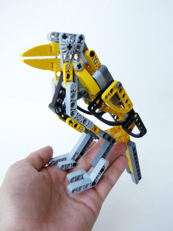 magpie06.jpg