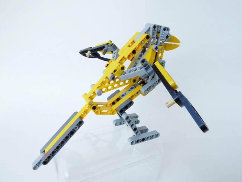 magpie09.jpg