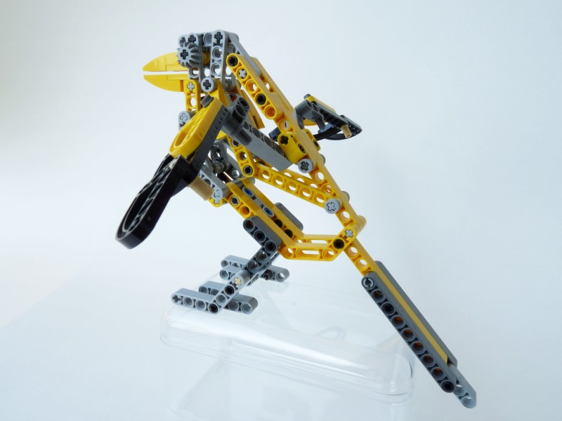 magpie091.jpg