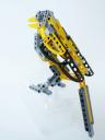 magpie04.jpg